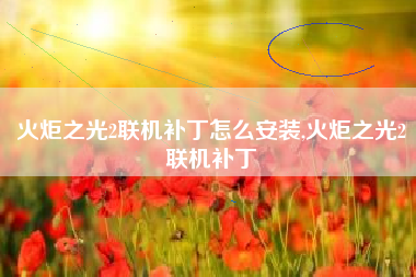火炬之光2联机补丁怎么安装,火炬之光2联机补丁