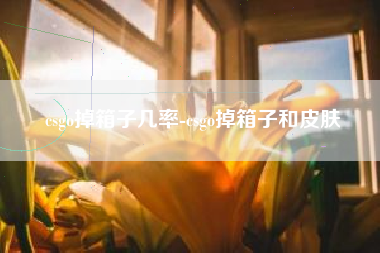 csgo掉箱子几率-csgo掉箱子和皮肤