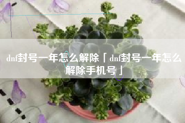 dnf封号一年怎么解除「dnf封号一年怎么解除手机号」