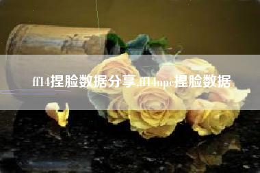ff14捏脸数据分享,ff14npc捏脸数据