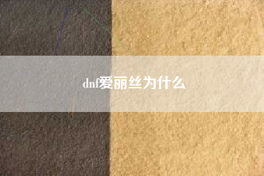 dnf爱丽丝为什么