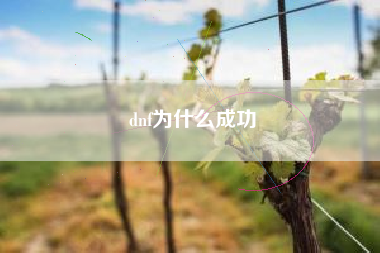 dnf为什么成功