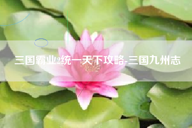 三国霸业2统一天下攻略-三国九州志