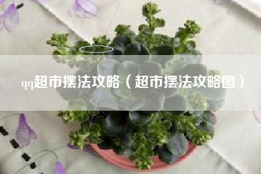 qq超市摆法攻略（超市摆法攻略图）