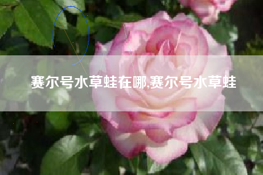 赛尔号水草蛙在哪,赛尔号水草蛙