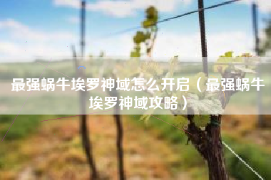 最强蜗牛埃罗神域怎么开启（最强蜗牛埃罗神域攻略）