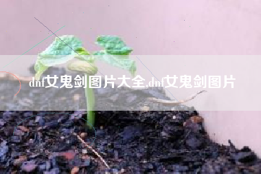 dnf女鬼剑图片大全,dnf女鬼剑图片