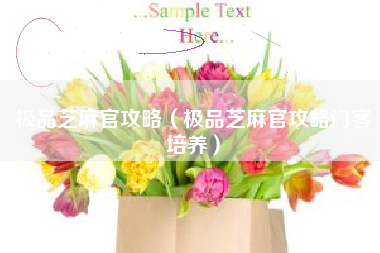 极品芝麻官攻略（极品芝麻官攻略门客培养）