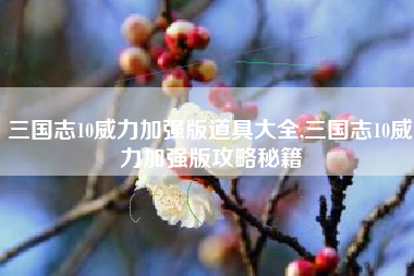 三国志10威力加强版道具大全,三国志10威力加强版攻略秘籍