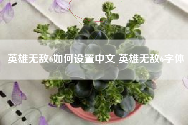 英雄无敌6如何设置中文 英雄无敌6字体