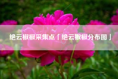绝云椒椒采集点「绝云椒椒分布图」