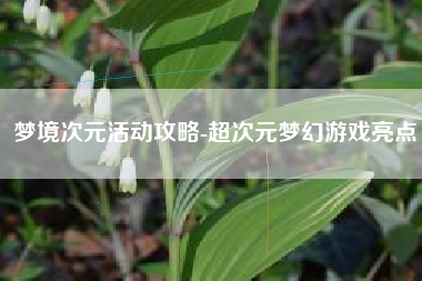 梦境次元活动攻略-超次元梦幻游戏亮点