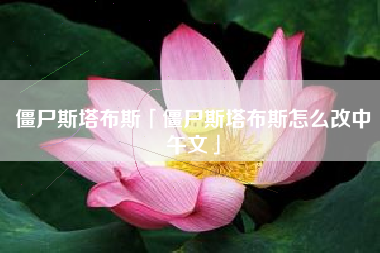 僵尸斯塔布斯「僵尸斯塔布斯怎么改中午文」