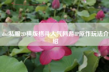 dnf私服2D横版格斗人气网游IP原作玩法介绍