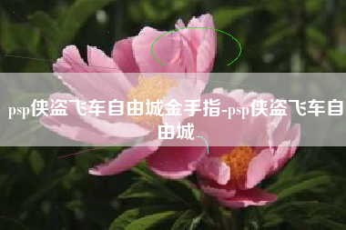 psp侠盗飞车自由城金手指-psp侠盗飞车自由城
