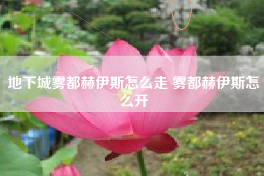 地下城雾都赫伊斯怎么走 雾都赫伊斯怎么开