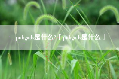 pubgads是什么?「pubgads是什么」