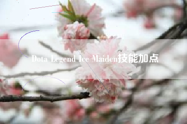 Dota Legend Ice Maiden技能加点