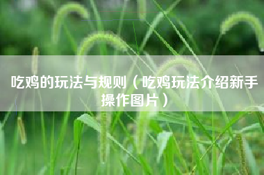 吃鸡的玩法与规则（吃鸡玩法介绍新手操作图片）