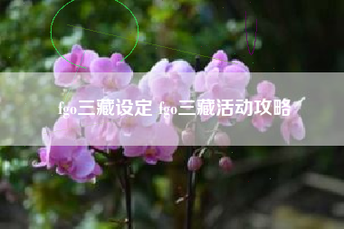 fgo三藏设定 fgo三藏活动攻略