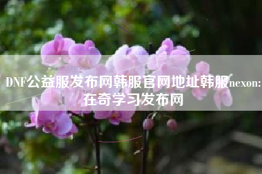 DNF公益服发布网韩服官网地址韩服nexon:在奇学习发布网