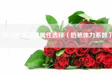 体力奶爸时装属性选择（奶爸体力系数）