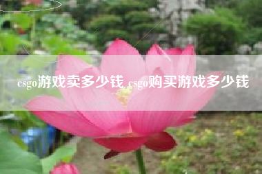 csgo游戏卖多少钱 csgo购买游戏多少钱
