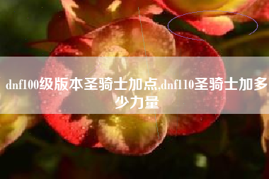 dnf100级版本圣骑士加点,dnf110圣骑士加多少力量