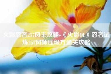 火影忍者257风主攻略-《火影OL》忍者试炼257风师压级方通关攻略