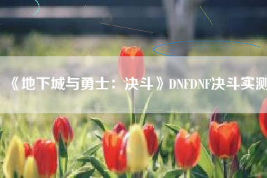 《地下城与勇士：决斗》DNFDNF决斗实测