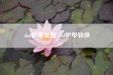 dnf护甲类型-dnf护甲转换