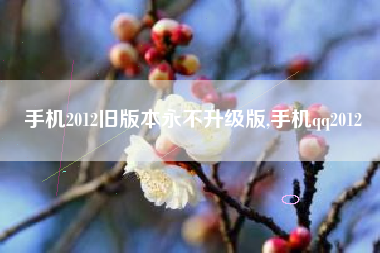 手机2012旧版本永不升级版,手机qq2012