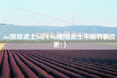 dnf黑暗武士bug（dnf黑暗武士不能转职变更?）