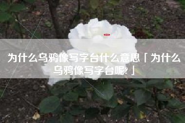 为什么乌鸦像写字台什么意思「为什么乌鸦像写字台呢?」