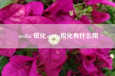 nvidia 锐化,nvidia锐化有什么用