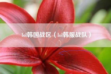 lol韩国战区（lol韩服战队）