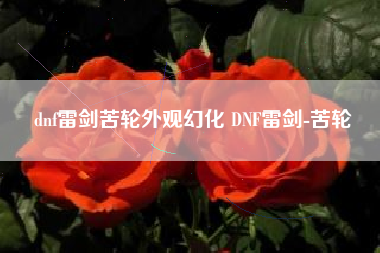 dnf雷剑苦轮外观幻化 DNF雷剑-苦轮