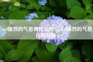 dnf强烈的气息有什么用?「dnf强烈的气息在哪获得」