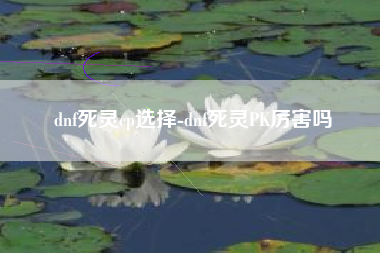 dnf死灵cp选择-dnf死灵PK厉害吗