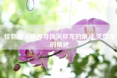 怪物猎人世界寻找灭尽龙的痕迹,灭尽龙的痕迹