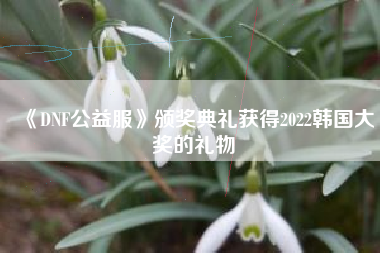 《DNF公益服》颁奖典礼获得2022韩国大奖的礼物