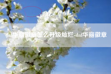 dnf华丽徽章怎么升级灿烂-dnf华丽徽章