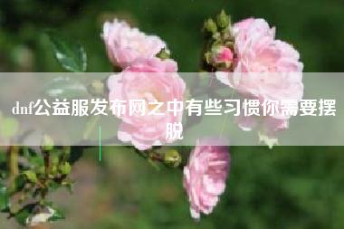 dnf公益服发布网之中有些习惯你需要摆脱