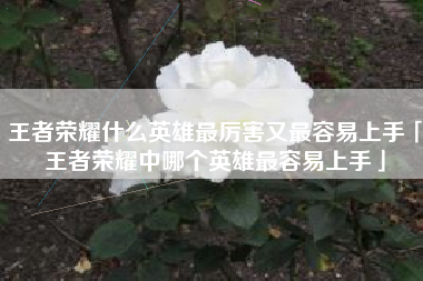 王者荣耀什么英雄最厉害又最容易上手「王者荣耀中哪个英雄最容易上手」