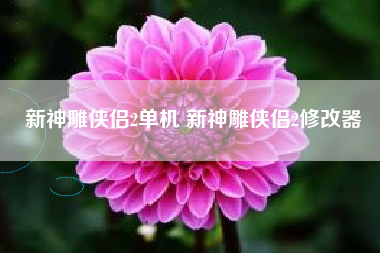 新神雕侠侣2单机 新神雕侠侣2修改器
