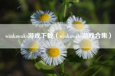 winkawaks游戏下载（winkawaks游戏合集）