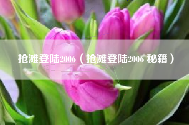 抢滩登陆2006（抢滩登陆2006 秘籍）