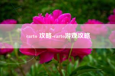 carto 攻略-carto游戏攻略