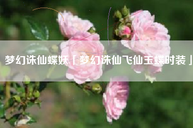 梦幻诛仙蝶妖「梦幻诛仙飞仙玉蝶时装」
