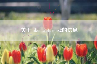 关于nikoncapturenx2的信息